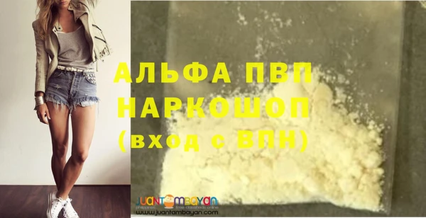 стафф Богданович