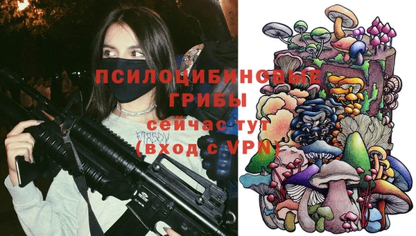 стафф Богданович